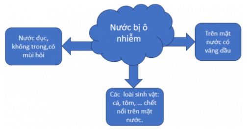 Vở bài tập Khoa học lớp 4 Chân trời sáng tạo Bài 3: Ô nhiễm và bảo vệ nguồn nước