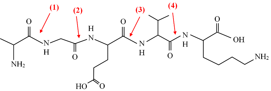 A diagram of a chemical structure

AI-generated content may be incorrect.