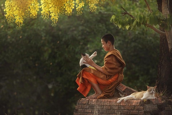 Lòng từ bi trong tu tập đạo Phật