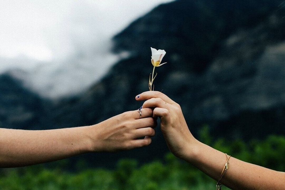 Lối sống nào khiến bạn theo đuổi?