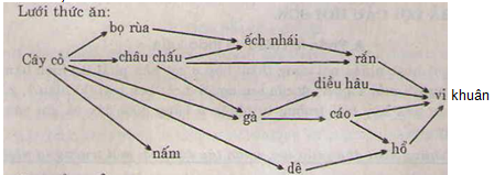 Học Sinh học 9 là một hành trình thú vị để tìm hiểu về sự sống xung quanh chúng ta. Cùng khám phá những bí mật của thế giới tự nhiên và học hỏi những kiến thức về động, thực vật, tế bào và nhiều hơn nữa.