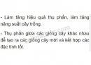 Hãy kể những ứng dụng về sự thụ phấn của con người? - Sinh Học - Tìm