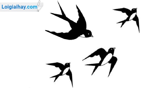 Top hơn 72 về tranh vẽ cảnh chim én bay lượn trên trời vẽ đôi chim énhow  to draw swallow bird