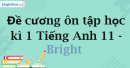 Đề cương ôn tập học kì 1 Tiếng Anh 11 - Bright