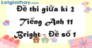 Đề thi giữa kì 2 Tiếng Anh 11 Bright - Đề số 1