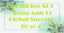 Đề thi học kì 2 Tiếng Anh 11 Global Success - Đề số 4