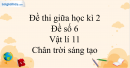 Đề thi giữa học kì 2 Vật lí 11 Chân trời sáng tạo - Đề số 6