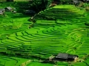 Đề văn tích hợp lớp 6