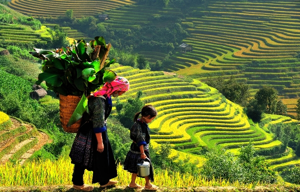 Thực hành một số biện pháp tu từ ngữ âm