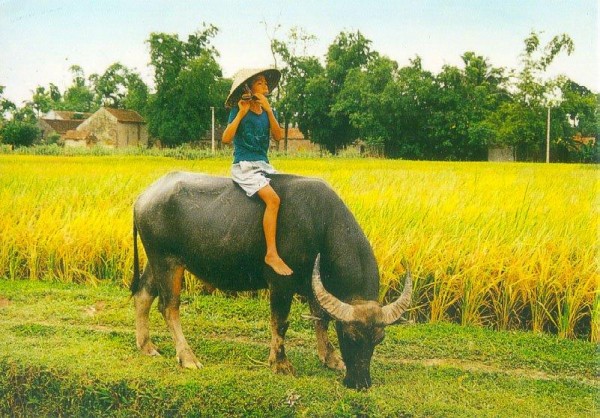 Luyện tập vận dụng các phương thức biểu đạt trong bài văn nghị luận