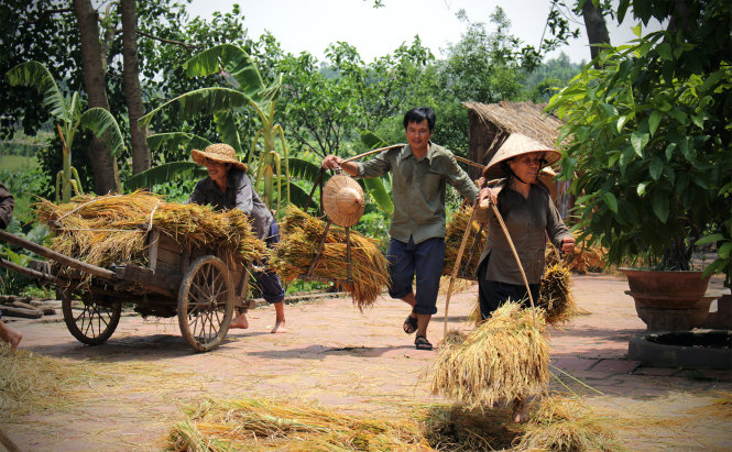 Thực hành một số biện pháp tu từ cú pháp
