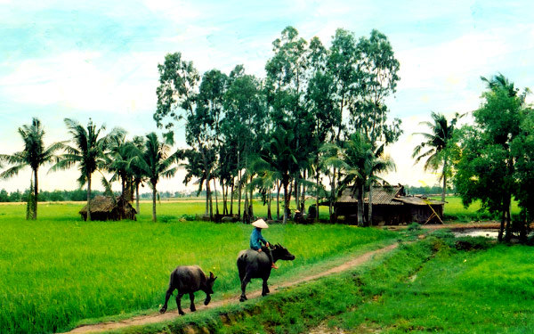 Viết bài làm văn số 3: Nghị luận văn học