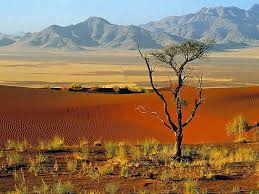Nếu bạn yêu thích thiên nhiên và muốn khám phá vẻ đẹp hoang sơ, nên xem ảnh thiên nhiên Châu Phi. Cảnh quan nơi đây đa dạng và độc đáo với rừng xanh rậm, đồng cỏ, sa mạc và dãy núi cao. Hãy để ảnh mang bạn đến với những cảnh tượng đầy màu sắc, sống động tại ngày bận rộn của mình.