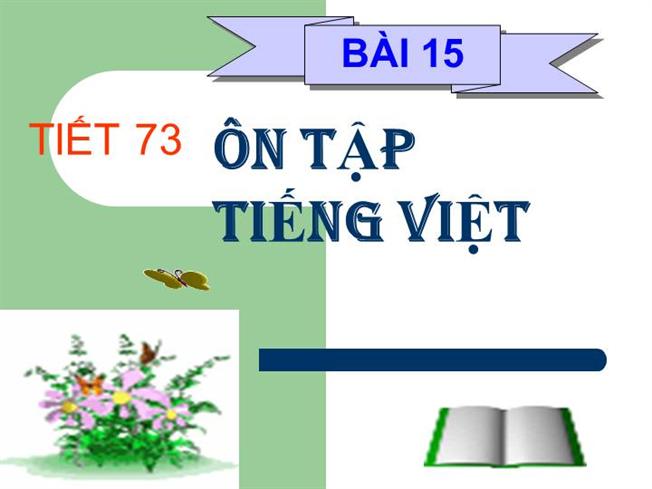 Ôn tập phần Tiếng Việt - Ngữ văn 11 tập 2