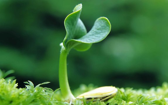 Kiểm tra tổng hợp cuối năm - Ngữ văn 12